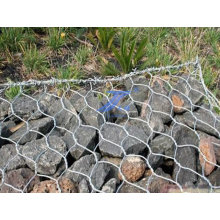 Protected Hexagonal Wire Mesh (factory)